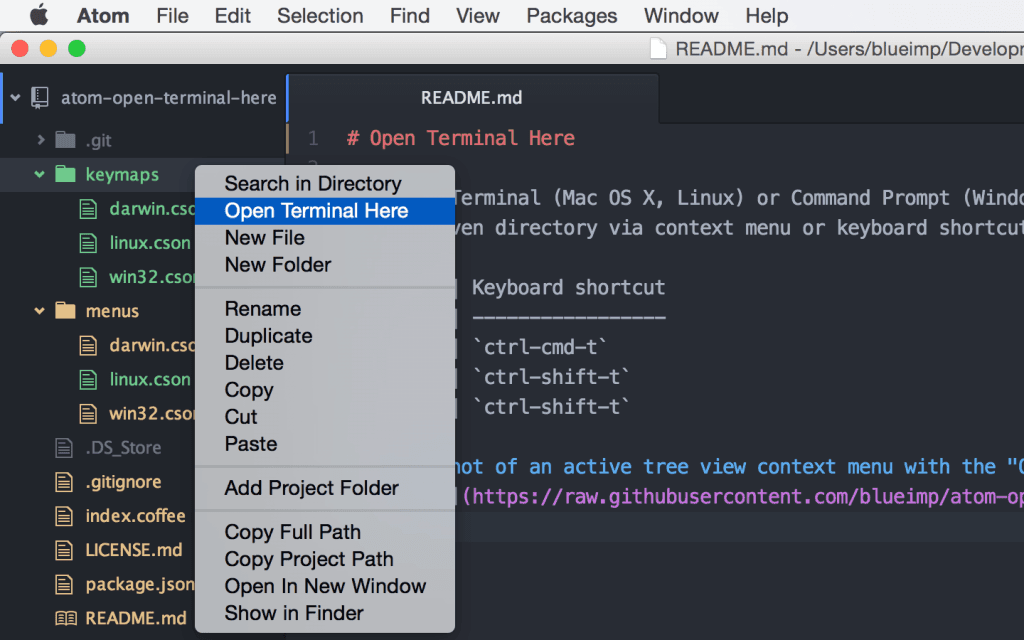 atom terminal