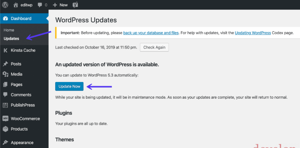 Eseguire l’Aggiornamento a WordPress 5.3