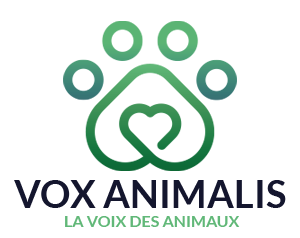 Vox Animalis